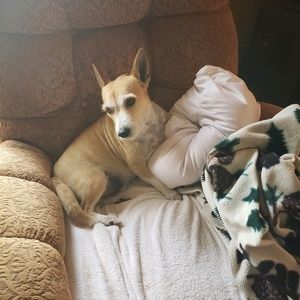 Meet your Posher, Brandy